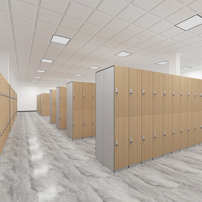 HPL locker has wide application in our daily life, such as bathroom, changing room ,gym.