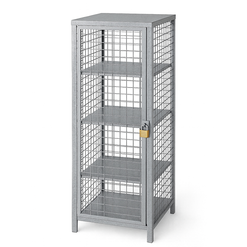 clear view lockers