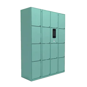 Biometric Face Locker in green