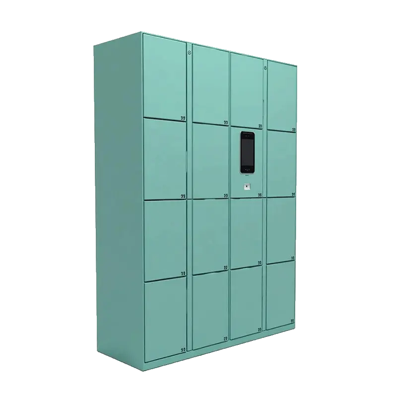 Biometric Face Locker in green